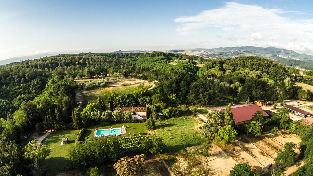 Fioralice Guest House Fauglia Room photo