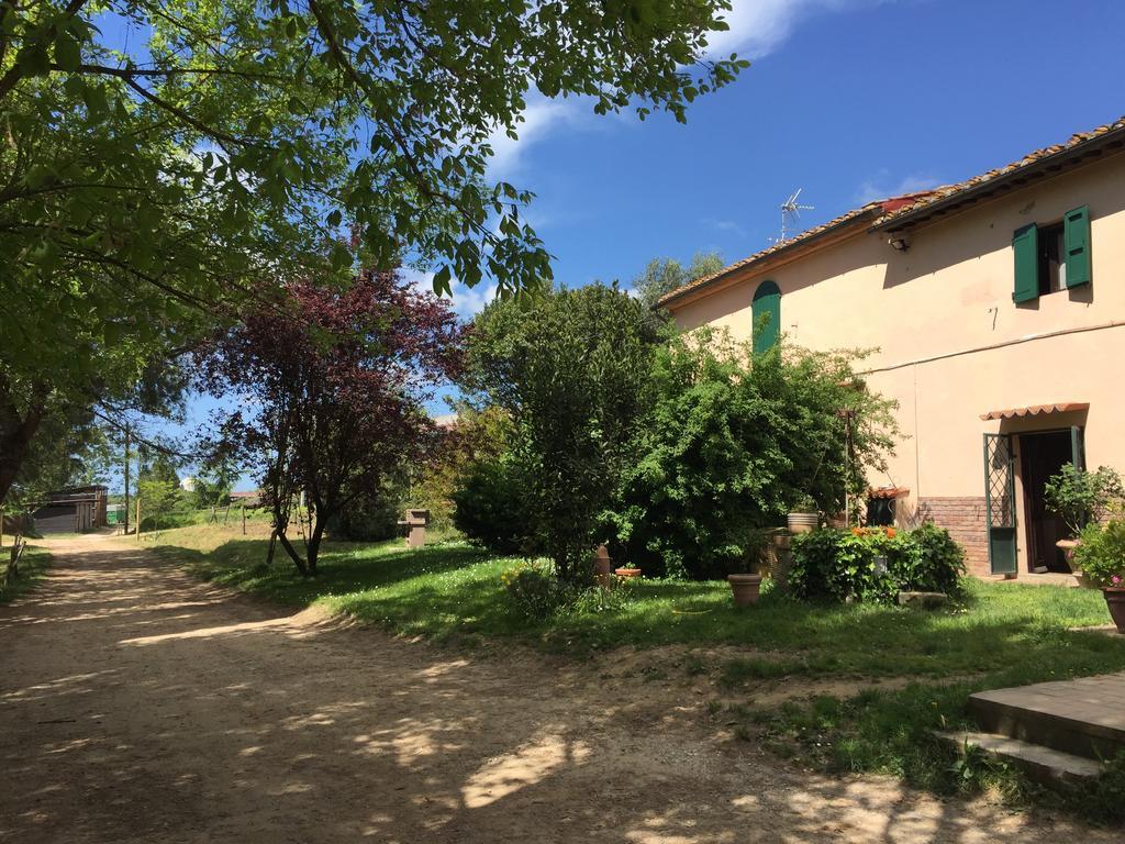Fioralice Guest House Fauglia Exterior photo