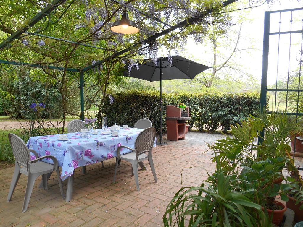 Fioralice Guest House Fauglia Exterior photo